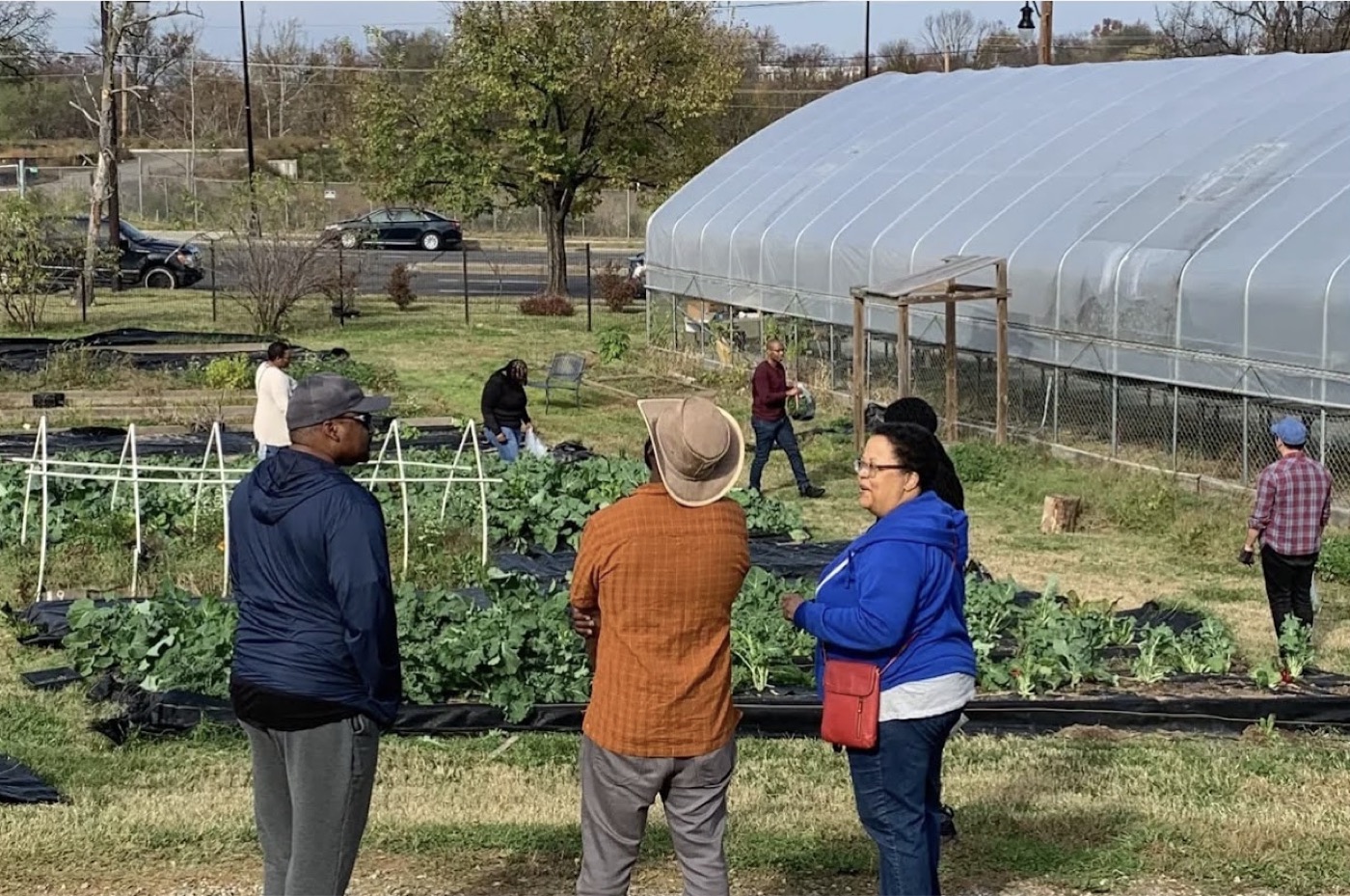 Community members talking among garden beds and a greenhouse